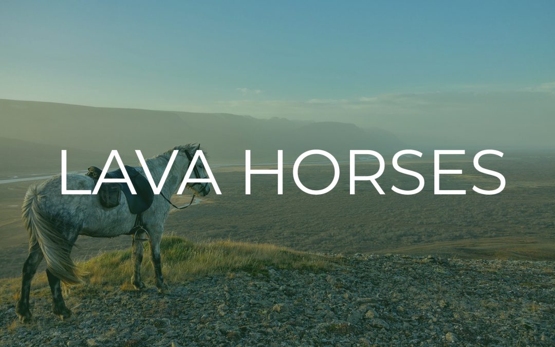 Lava Horses